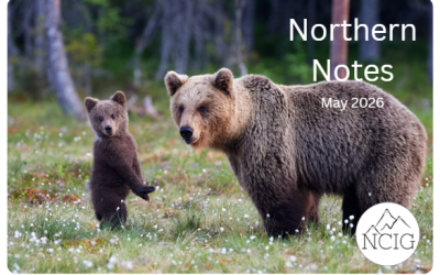 May 2026 Northern Notes